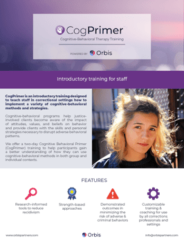 CogPrimer Brochure 2020