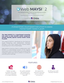 Mental health assessment for youth brochure